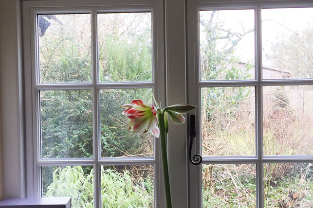 Hardwood Timber Casement Windows with Georgian Bars and Monkey Tail Handles installed in Oxford by Paradise Windows